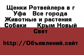 Щенки Ротвейлера в г.Уфа - Все города Животные и растения » Собаки   . Крым,Новый Свет